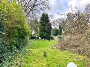 Photo 1- click for photo gallery